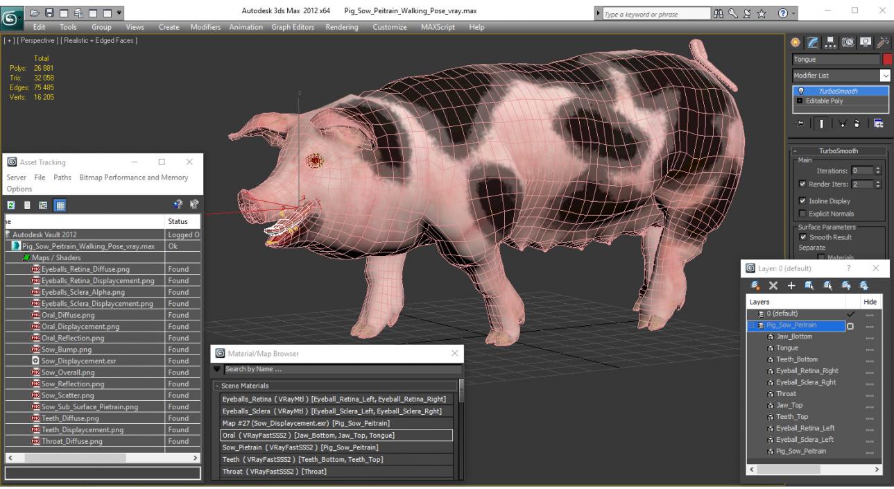 Pig Sow Peitrain Walking Pose 3D model