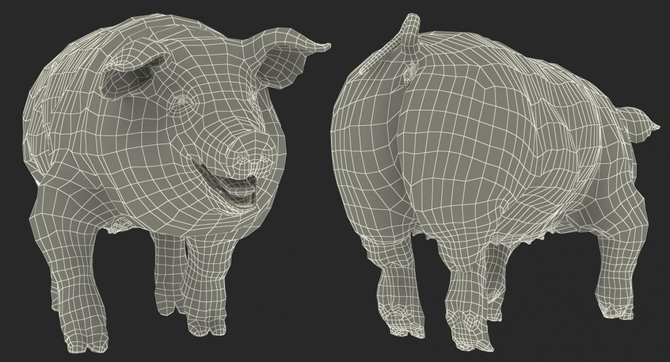 Pig Sow Peitrain Walking Pose 3D model