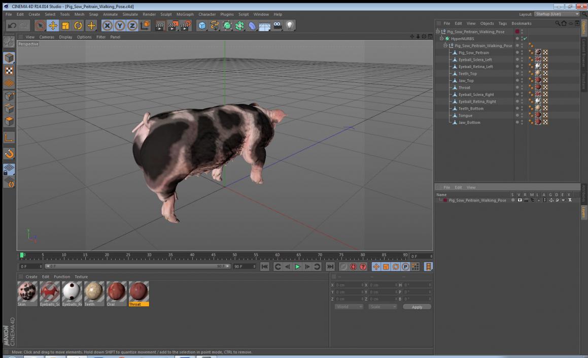 Pig Sow Peitrain Walking Pose 3D model