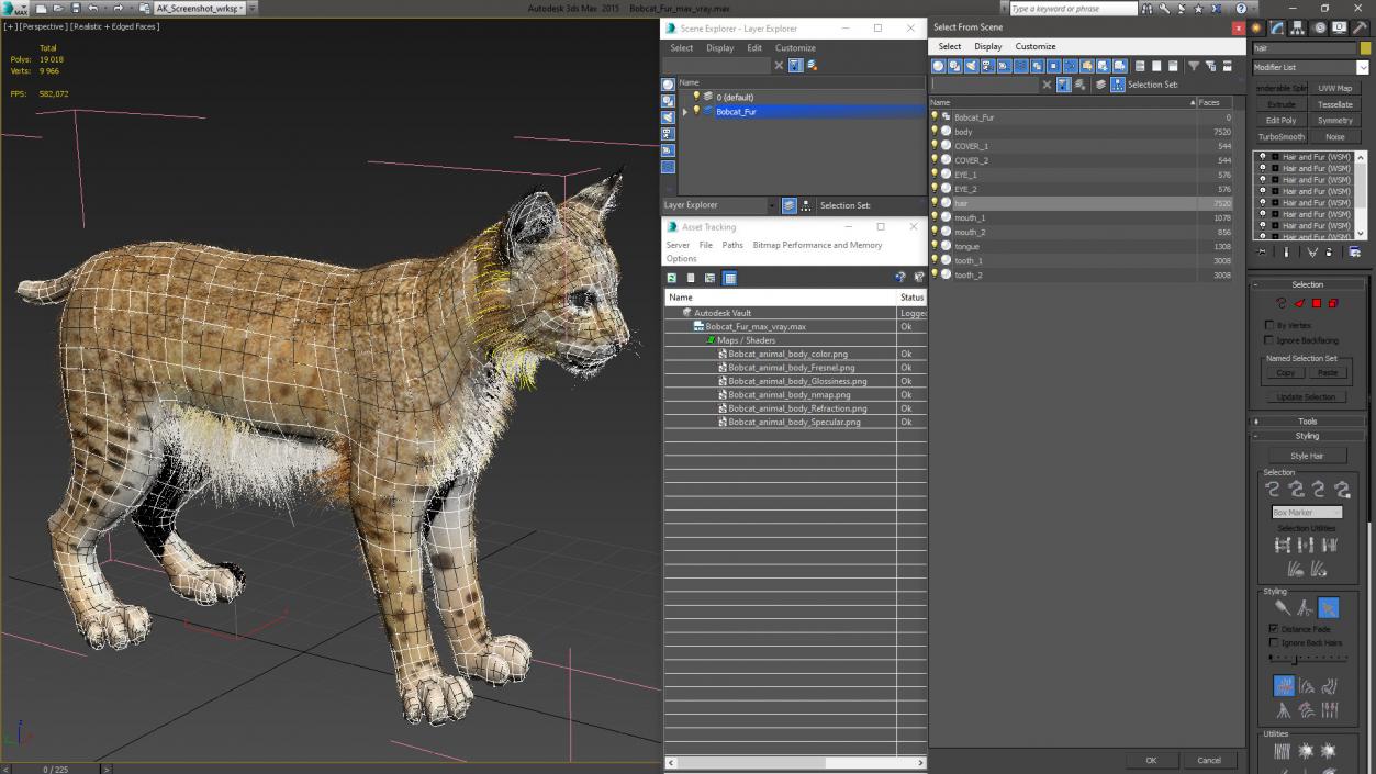 3D model Bobcat Fur