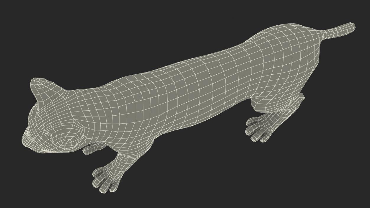 3D model Bobcat Fur