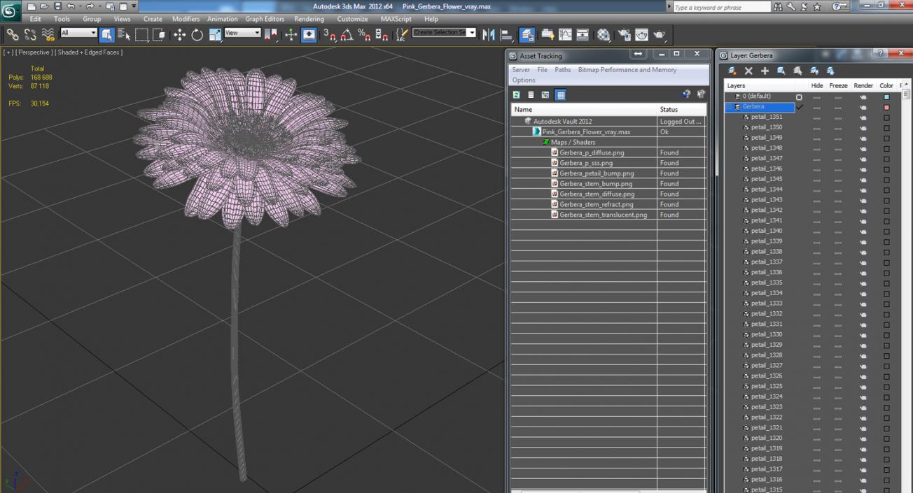 Pink Gerbera Flower 3D model