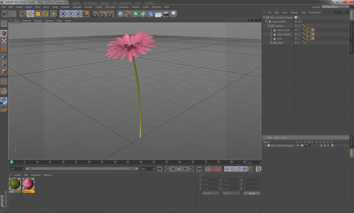 Pink Gerbera Flower 3D model