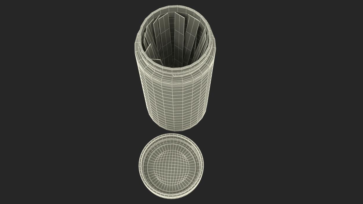 Water Softener Test Strips Jar Opened 3D