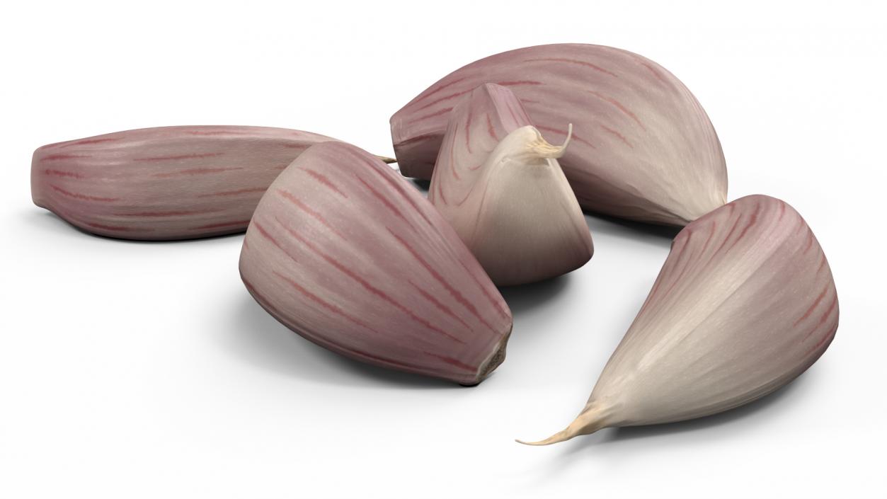 Five Garlic Cloves White 3D model