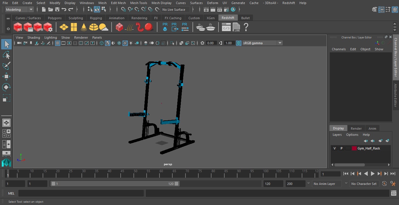 3D Gym Half Rack model