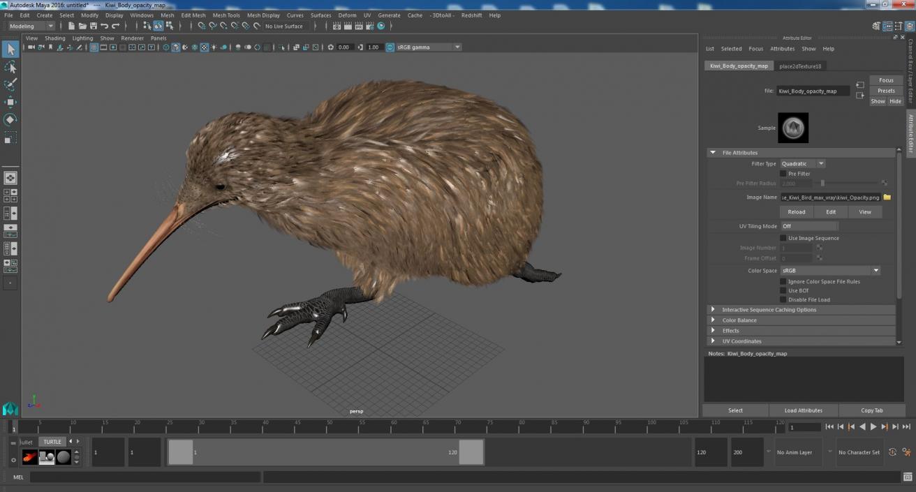 3D Run Pose Kiwi Bird model