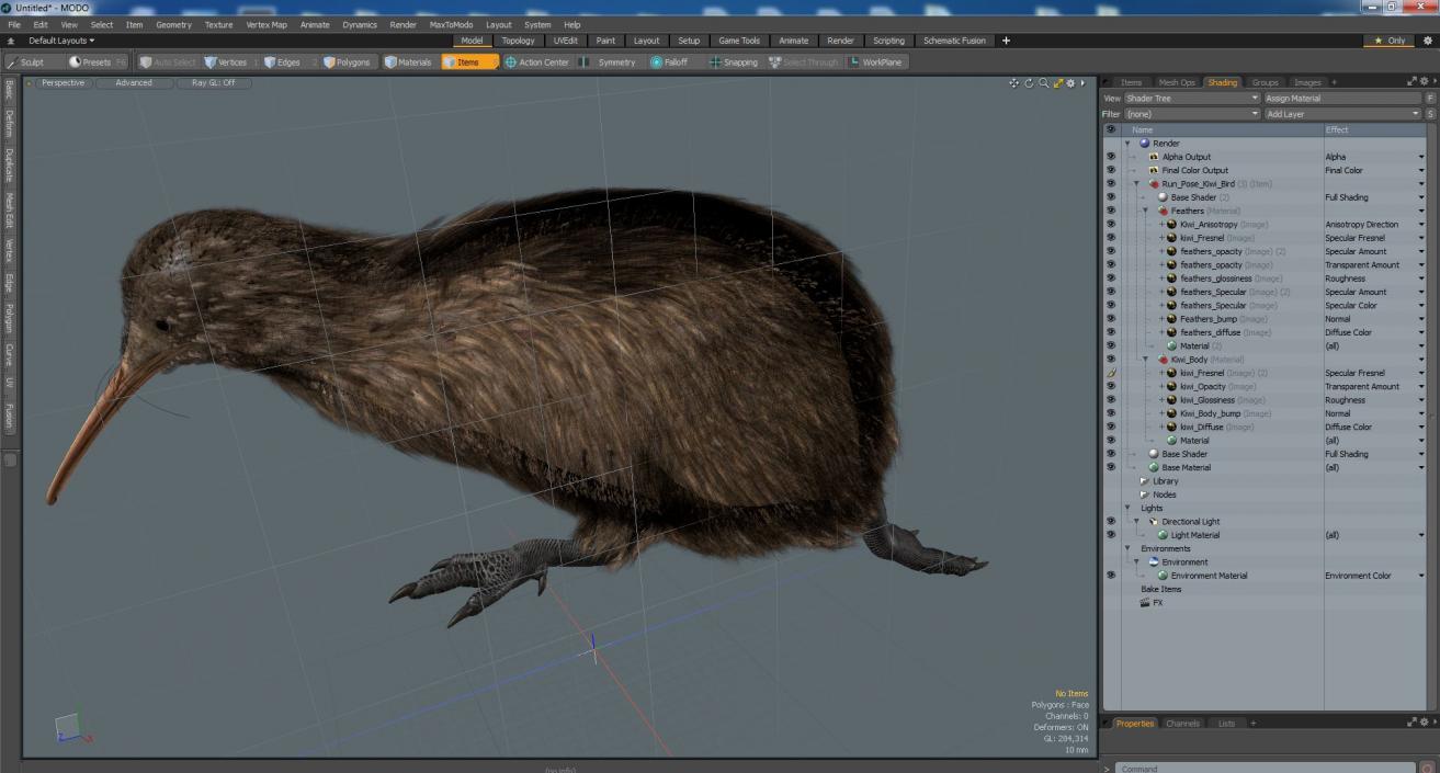 3D Run Pose Kiwi Bird model