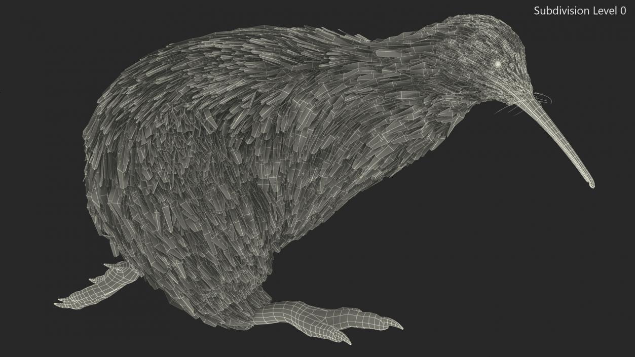 3D Run Pose Kiwi Bird model