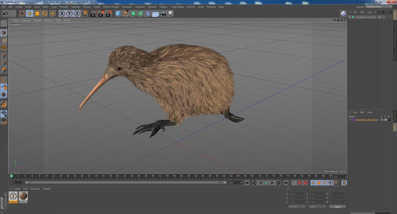 3D Run Pose Kiwi Bird model