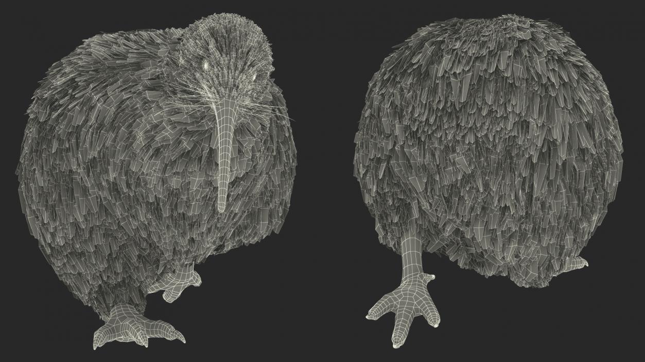 3D Run Pose Kiwi Bird model