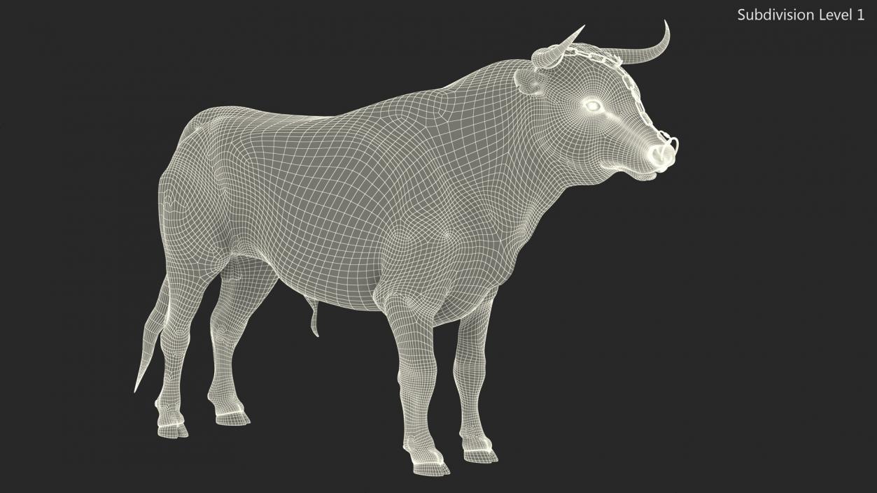 Bull with a Chain 3D