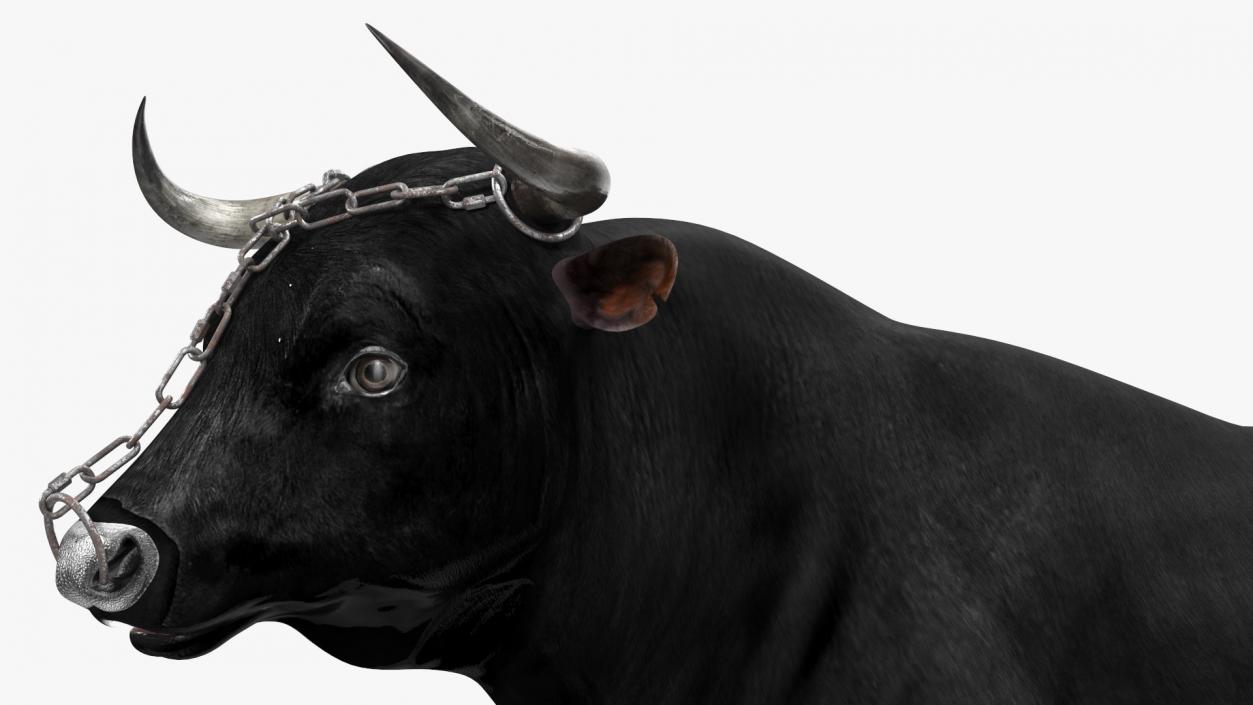 Bull with a Chain 3D