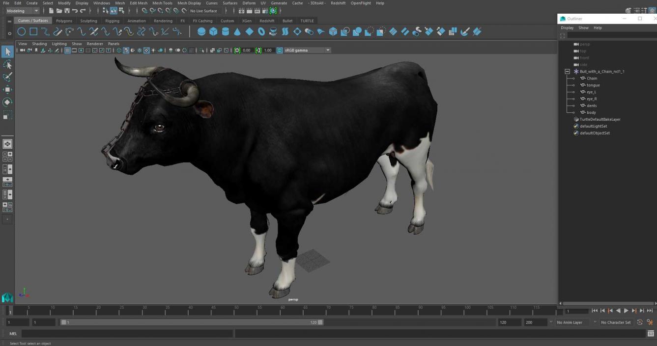 Bull with a Chain 3D