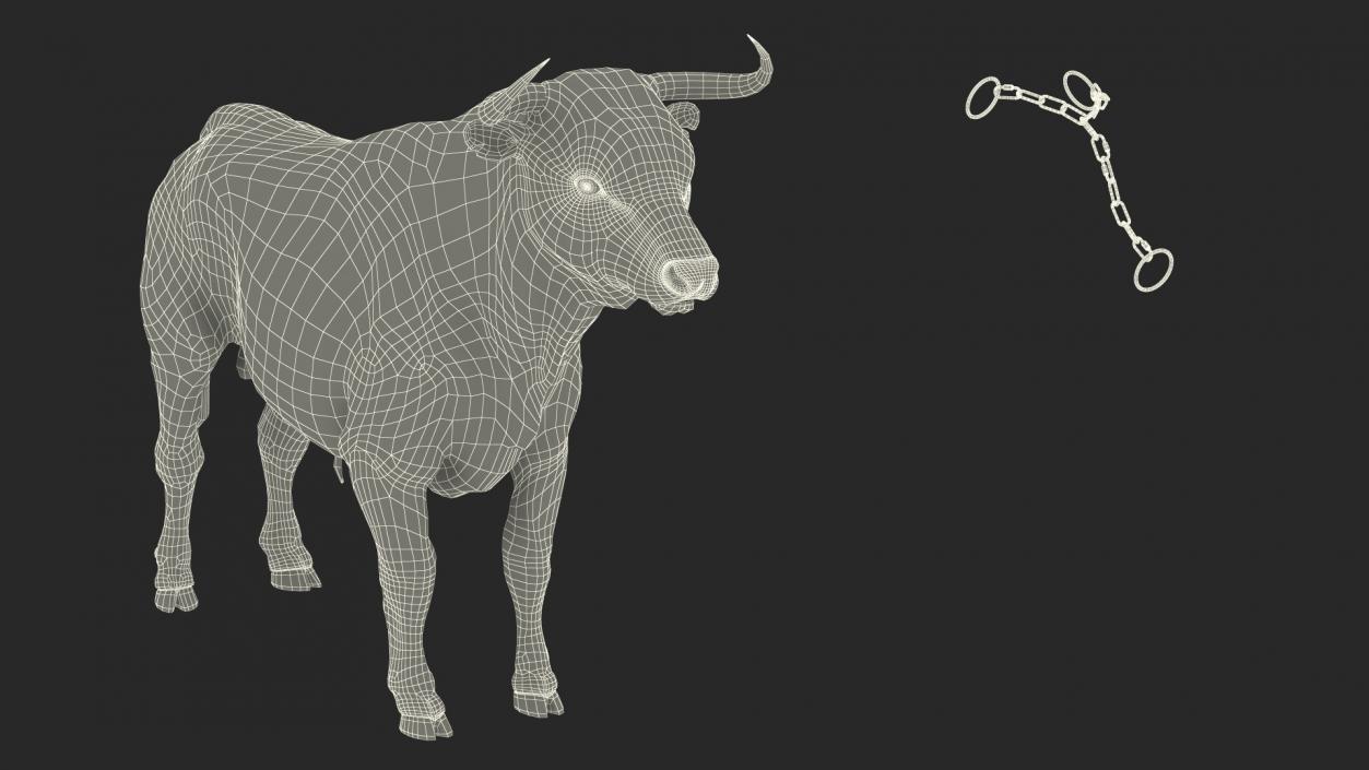 Bull with a Chain 3D