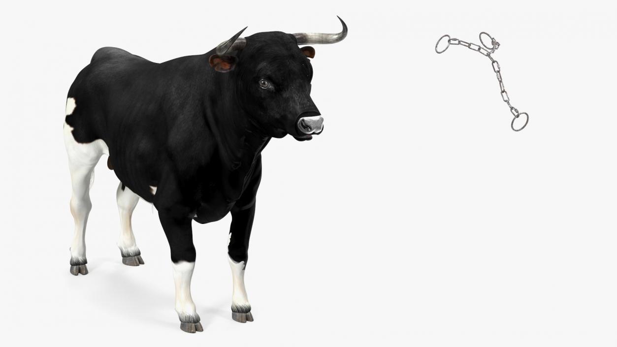 Bull with a Chain 3D