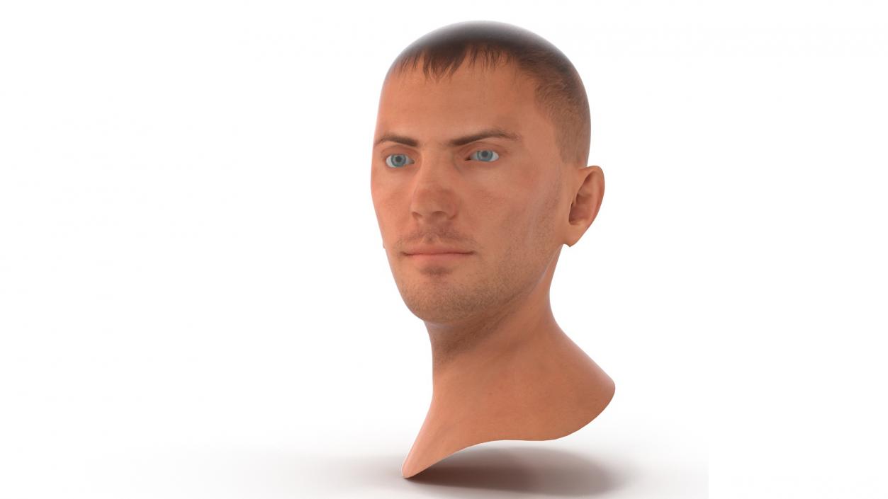 Caucasian Adult Male Head Rigged 3D