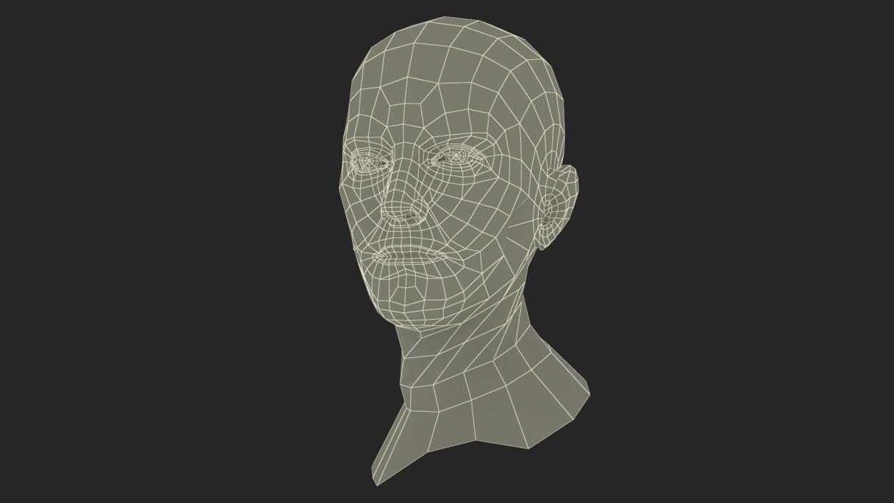 Caucasian Adult Male Head Rigged 3D