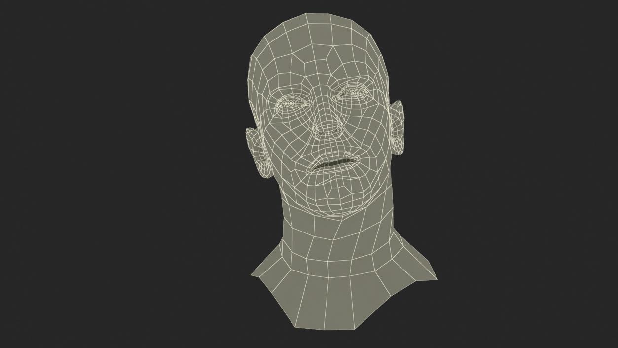 Caucasian Adult Male Head Rigged 3D