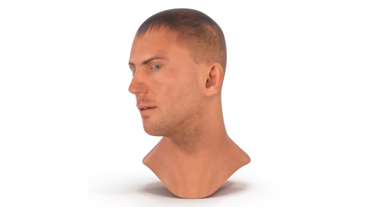 Caucasian Adult Male Head Rigged 3D