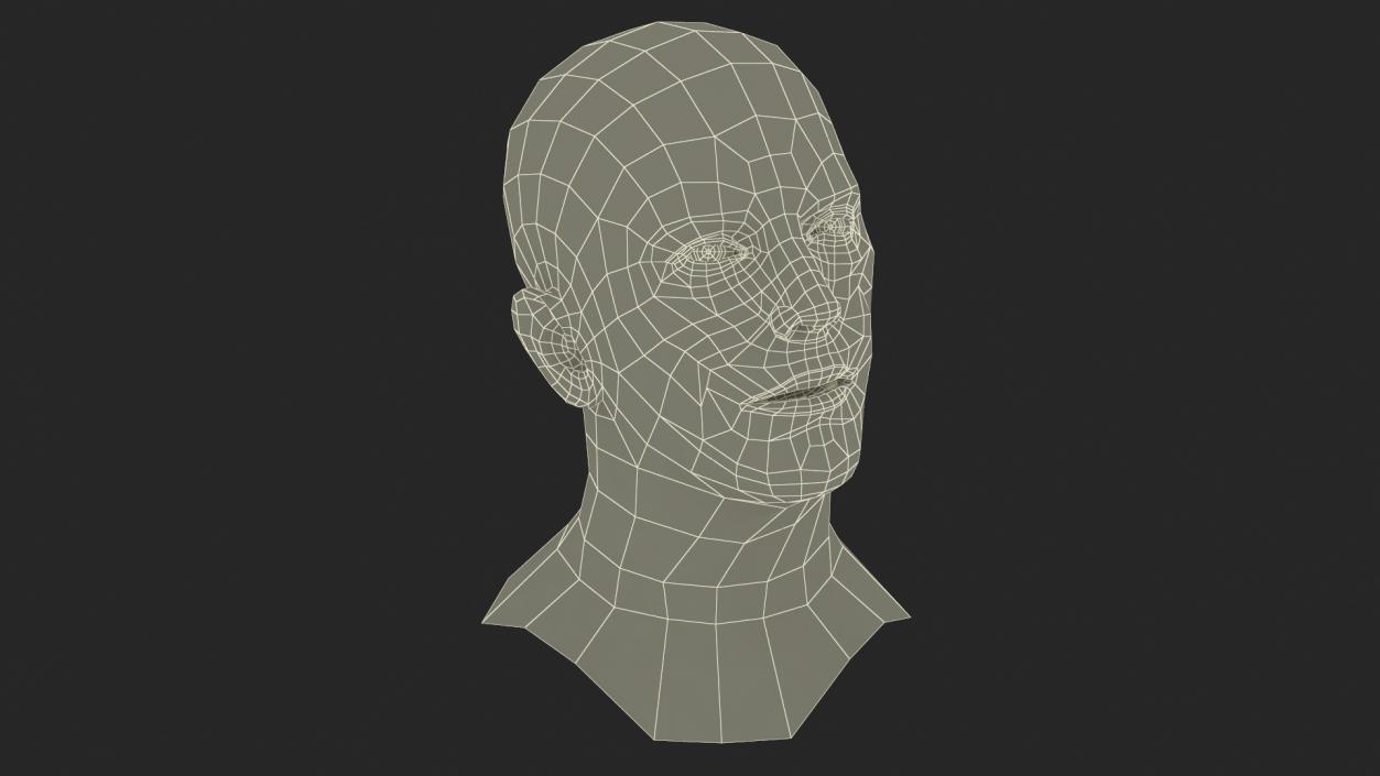 Caucasian Adult Male Head Rigged 3D