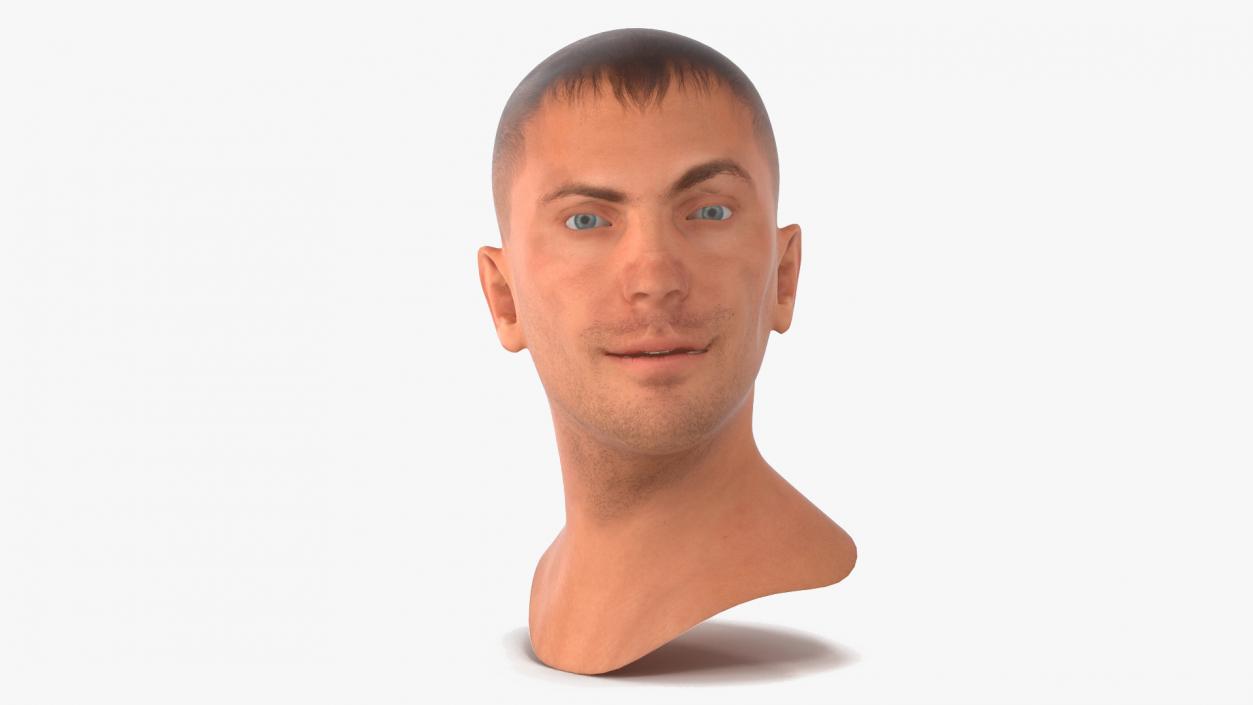 Caucasian Adult Male Head Rigged 3D