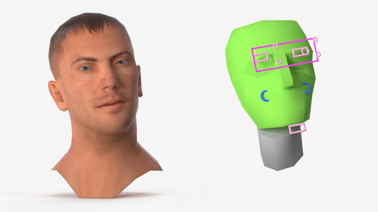 Caucasian Adult Male Head Rigged 3D