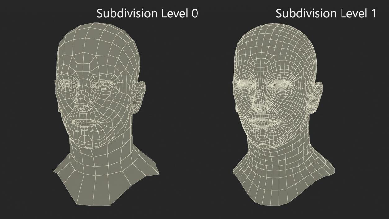 Caucasian Adult Male Head Rigged 3D