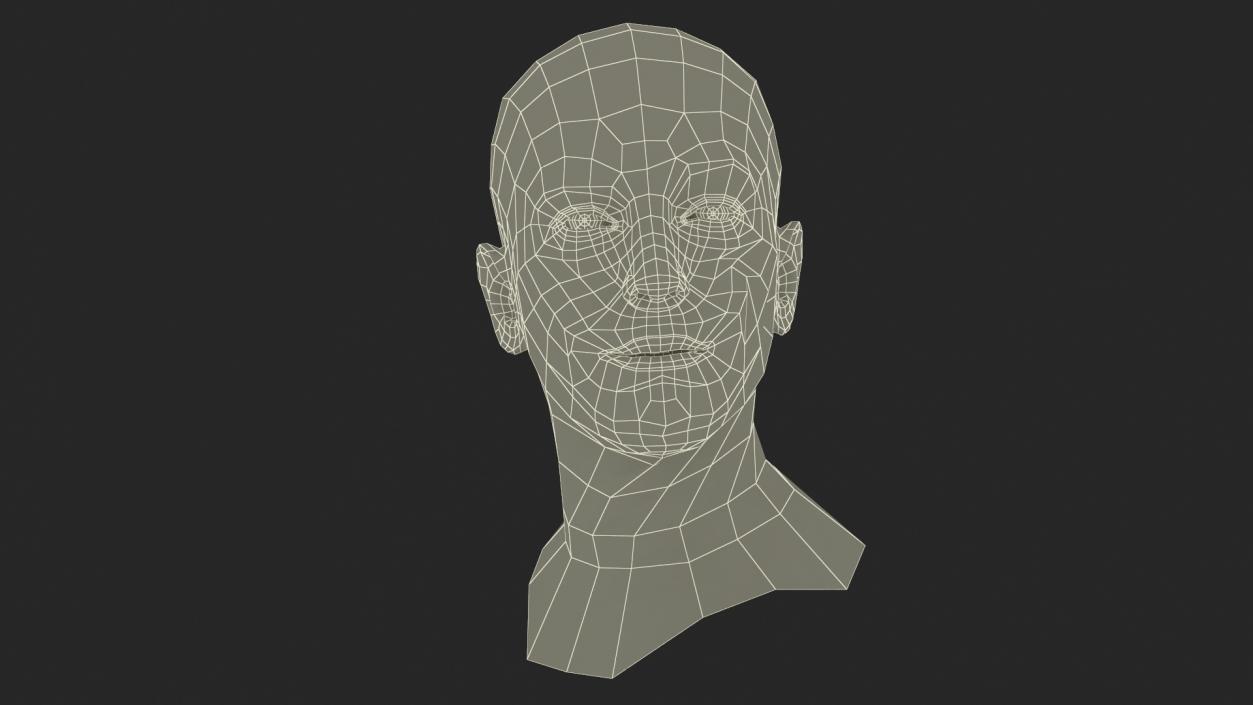 Caucasian Adult Male Head Rigged 3D