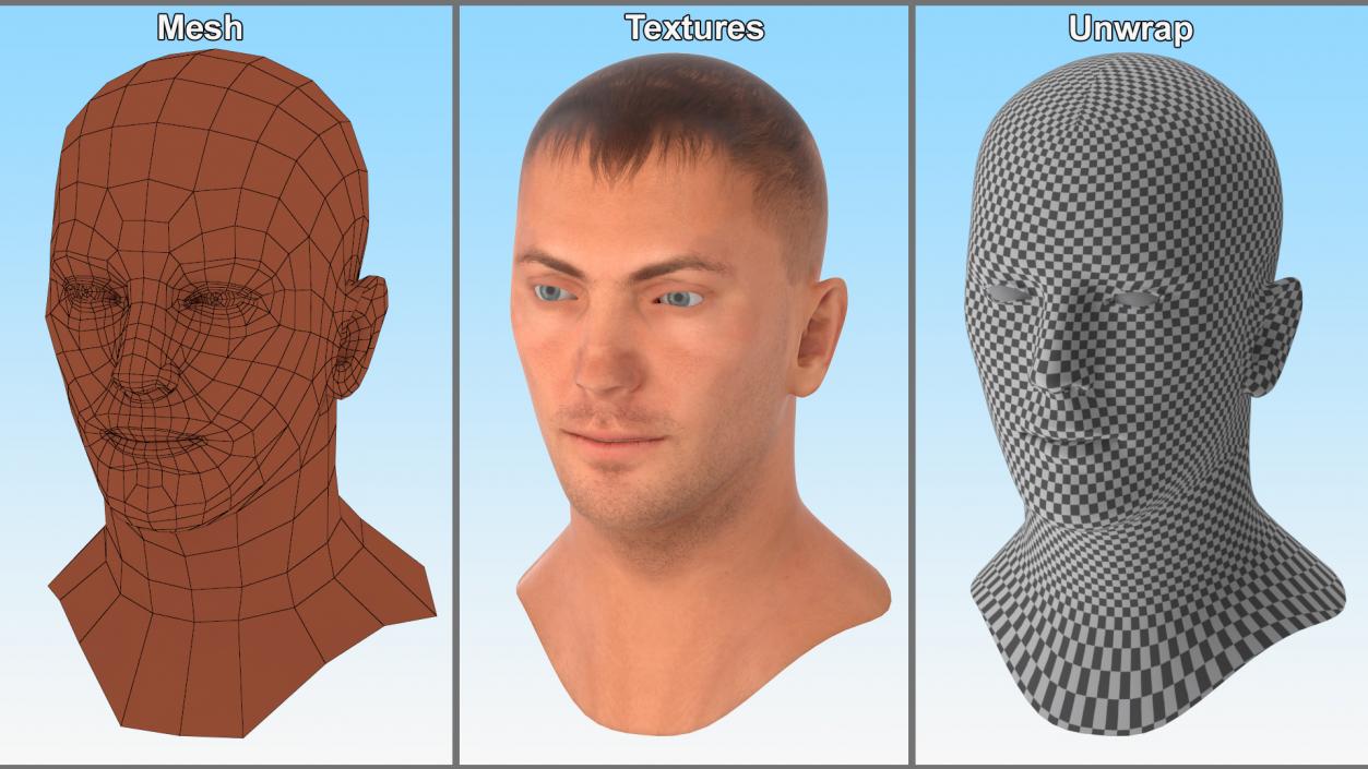 Caucasian Adult Male Head Rigged 3D