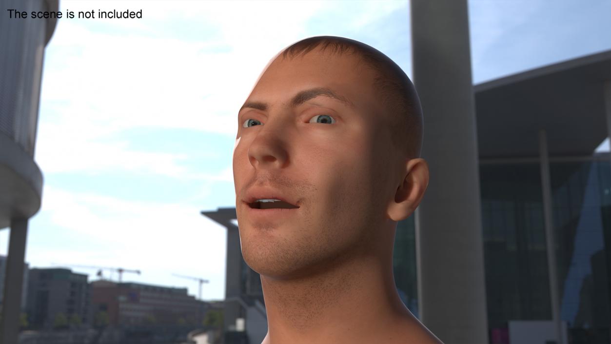 Caucasian Adult Male Head Rigged 3D