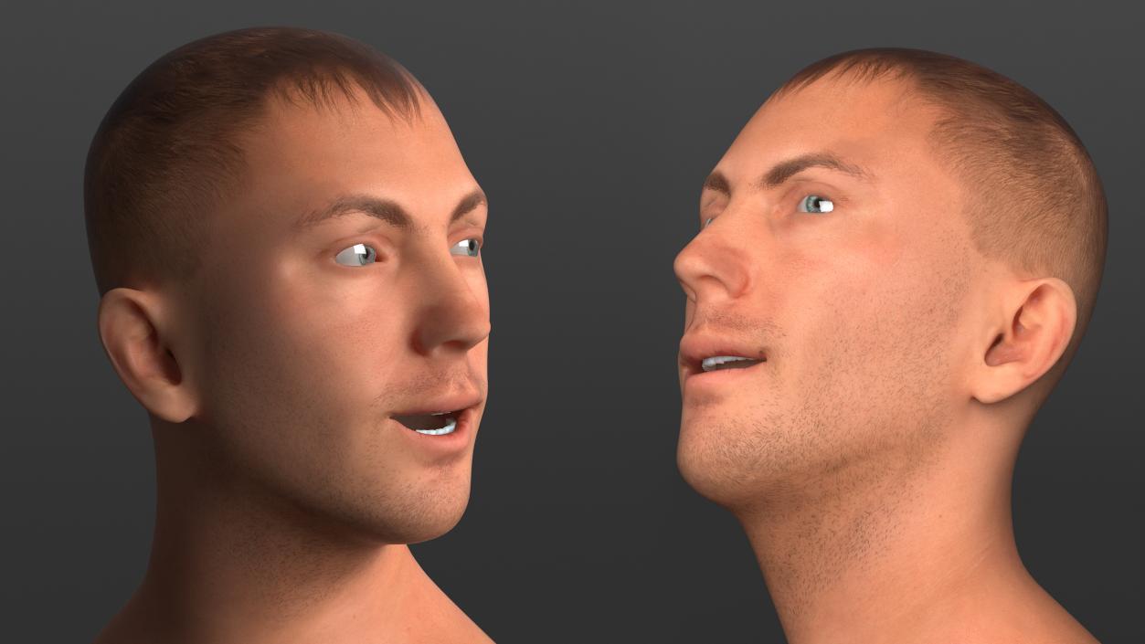 Caucasian Adult Male Head Rigged 3D