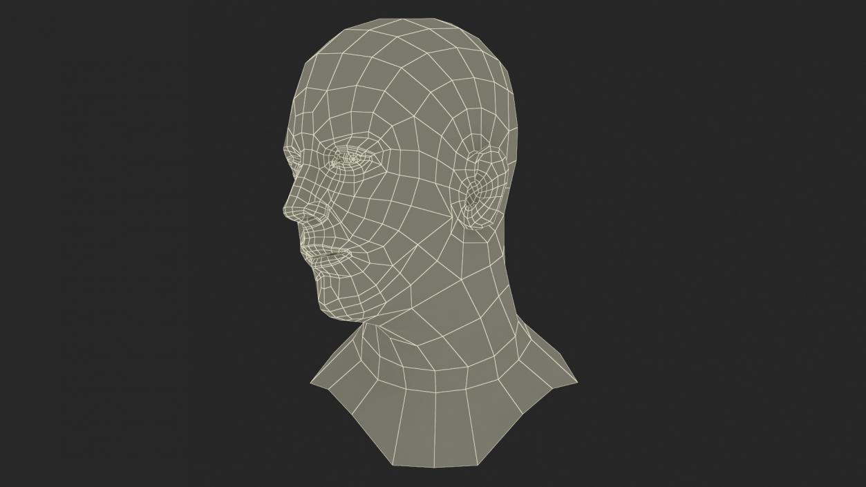 Caucasian Adult Male Head Rigged 3D