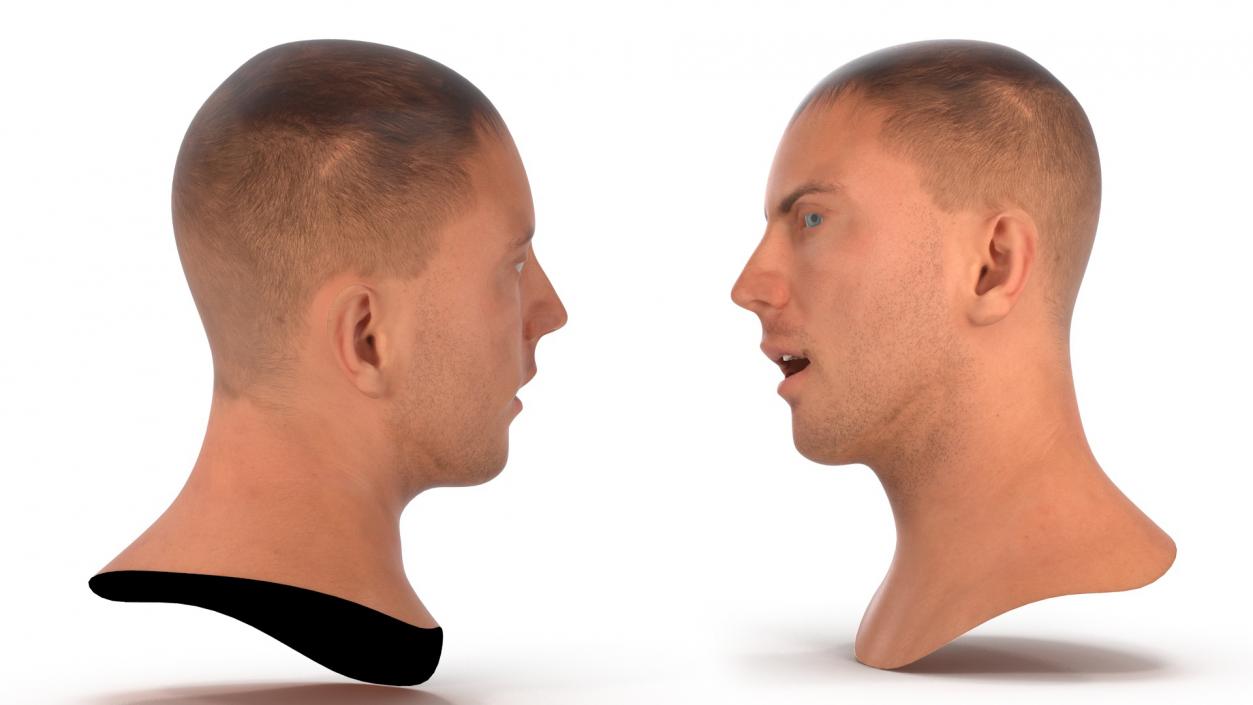 Caucasian Adult Male Head Rigged 3D