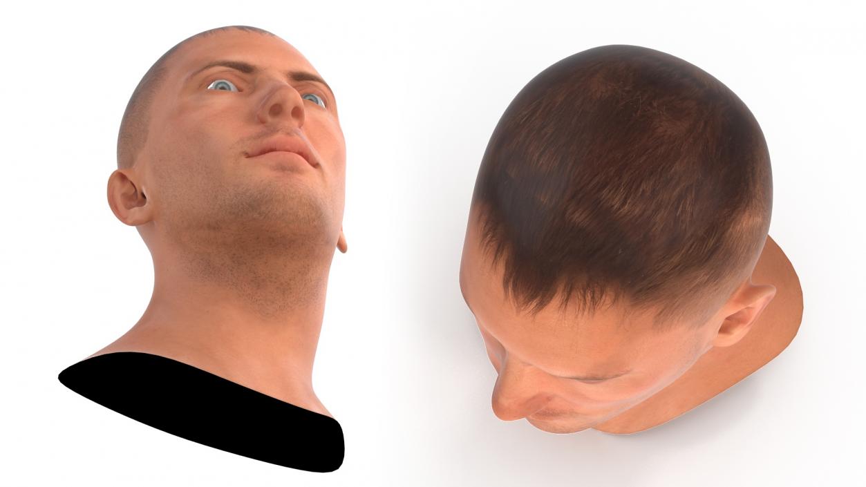 Caucasian Adult Male Head Rigged 3D