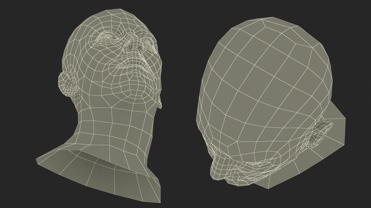 Caucasian Adult Male Head Rigged 3D