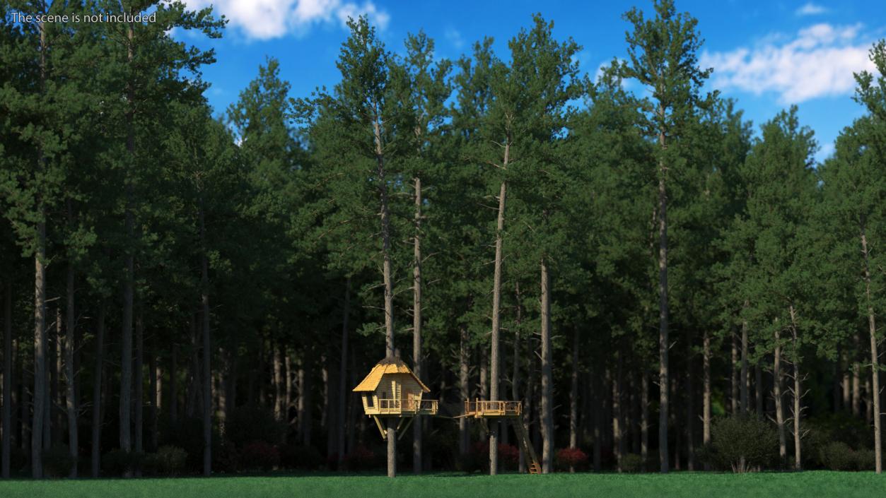 Large Tree House with Pines 3D