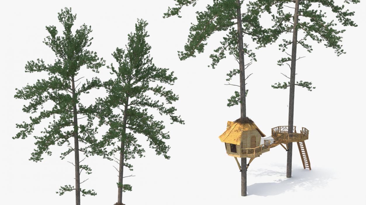 Large Tree House with Pines 3D