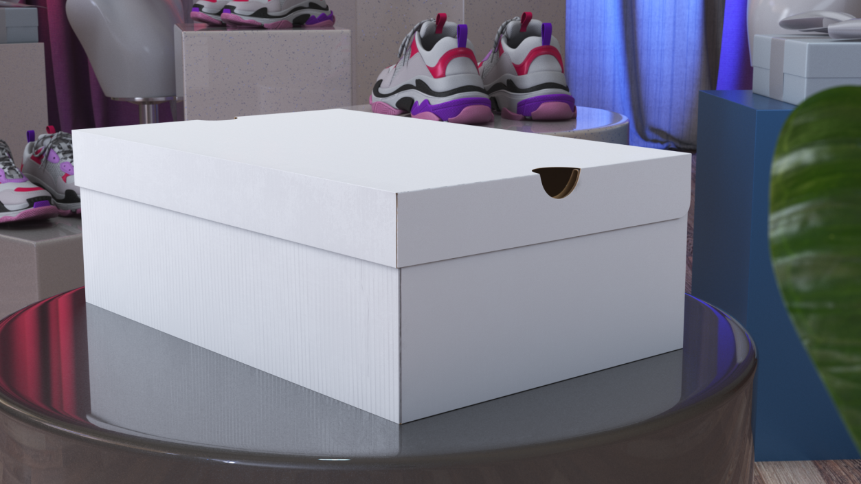 3D Shoes Packaging Box Closed