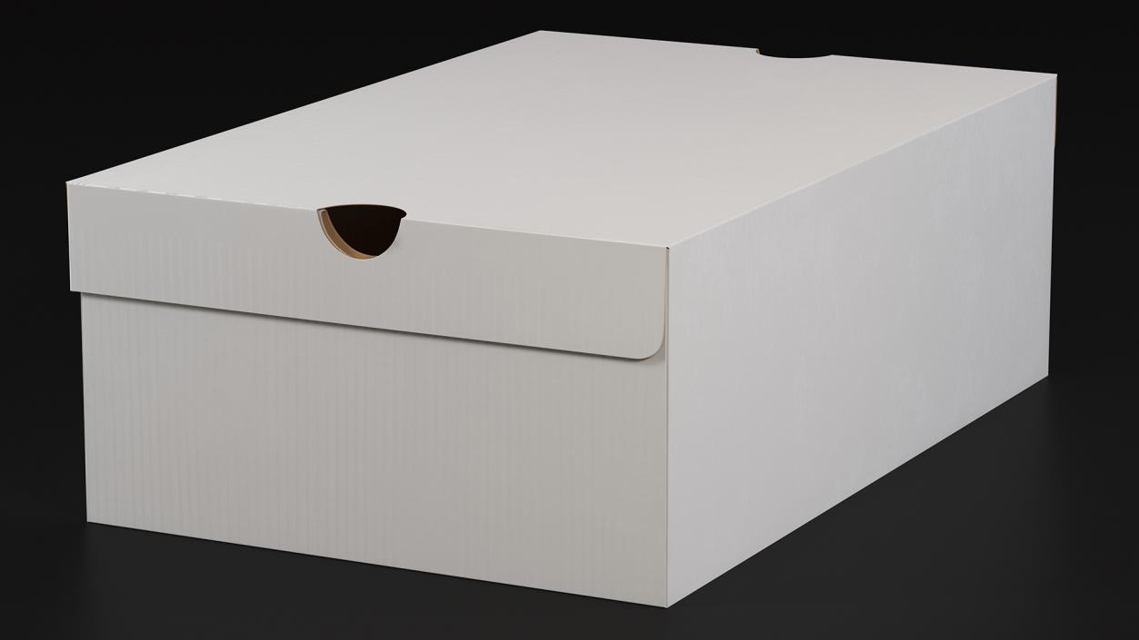 3D Shoes Packaging Box Closed