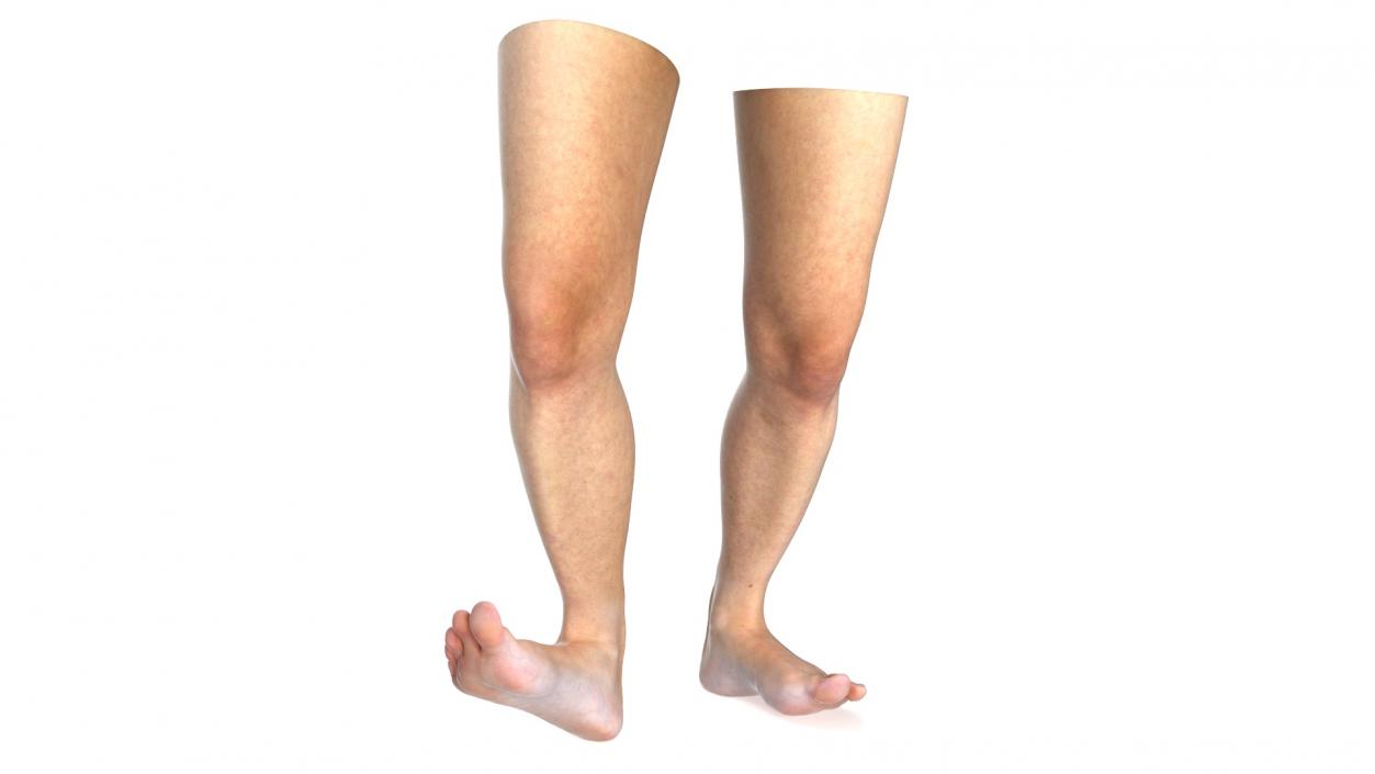 3D model Female Legs Rigged 2