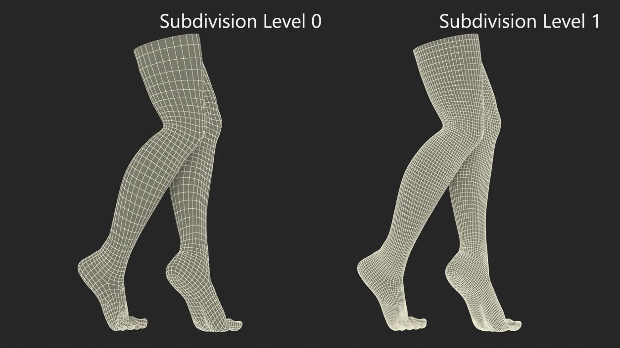 3D model Female Legs Rigged 2