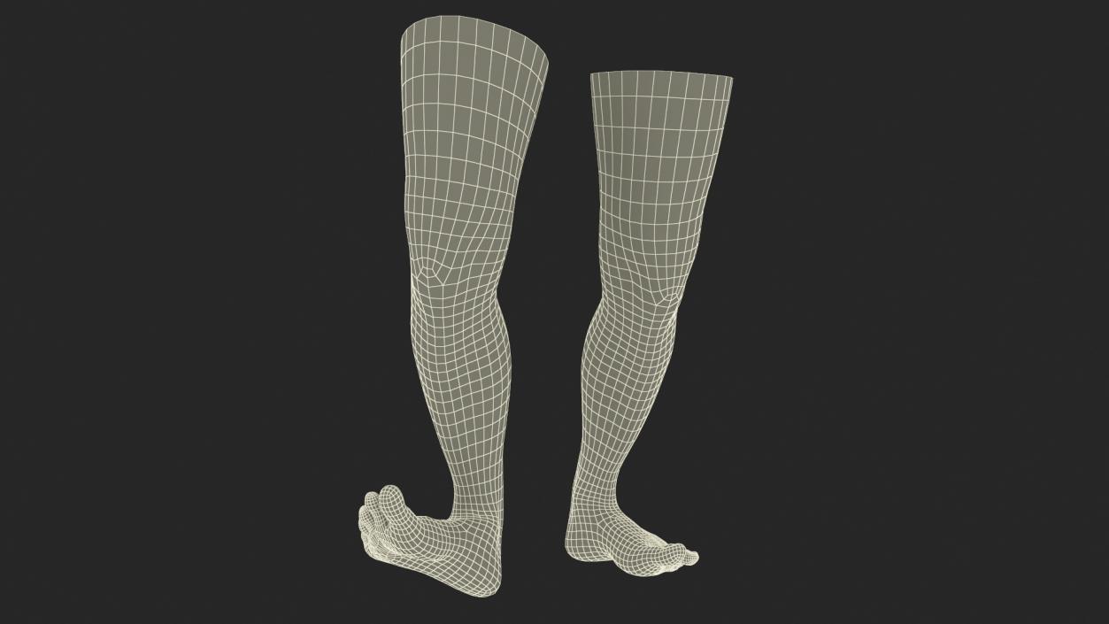 3D model Female Legs Rigged 2