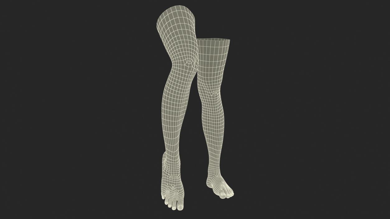 3D model Female Legs Rigged 2