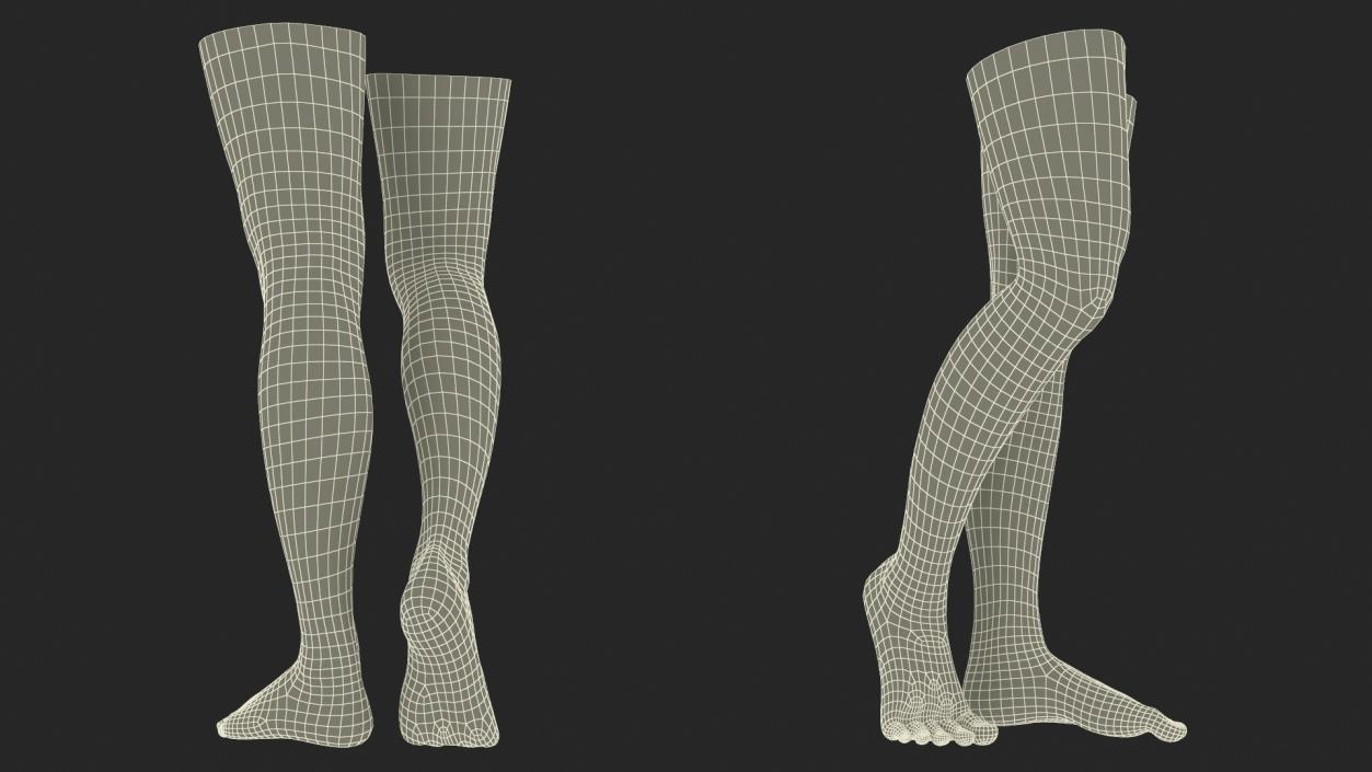 3D model Female Legs Rigged 2