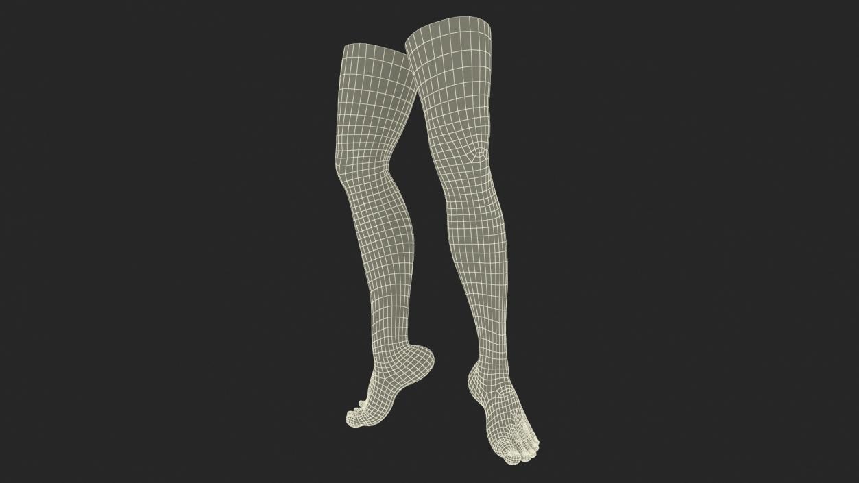 3D model Female Legs Rigged 2