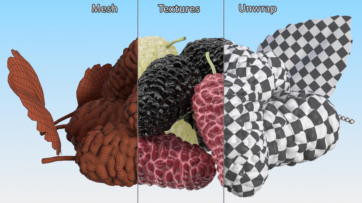 Pile of Mulberry Fruit 3D