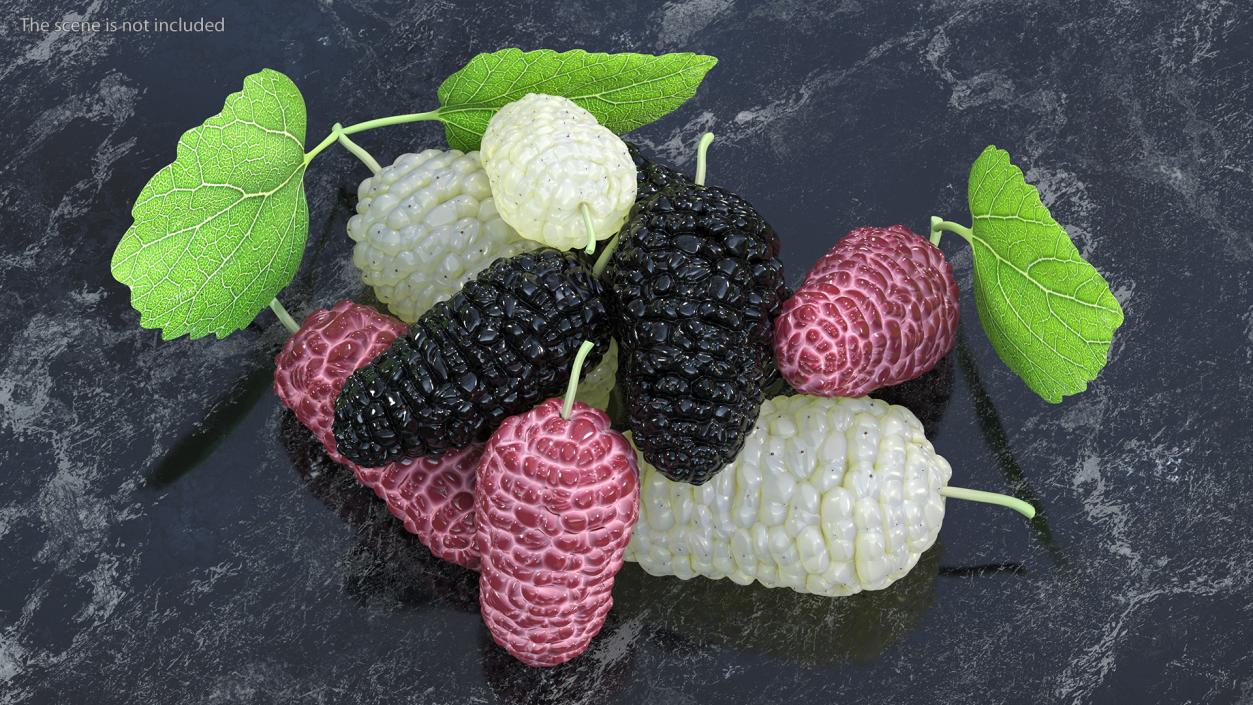 Pile of Mulberry Fruit 3D