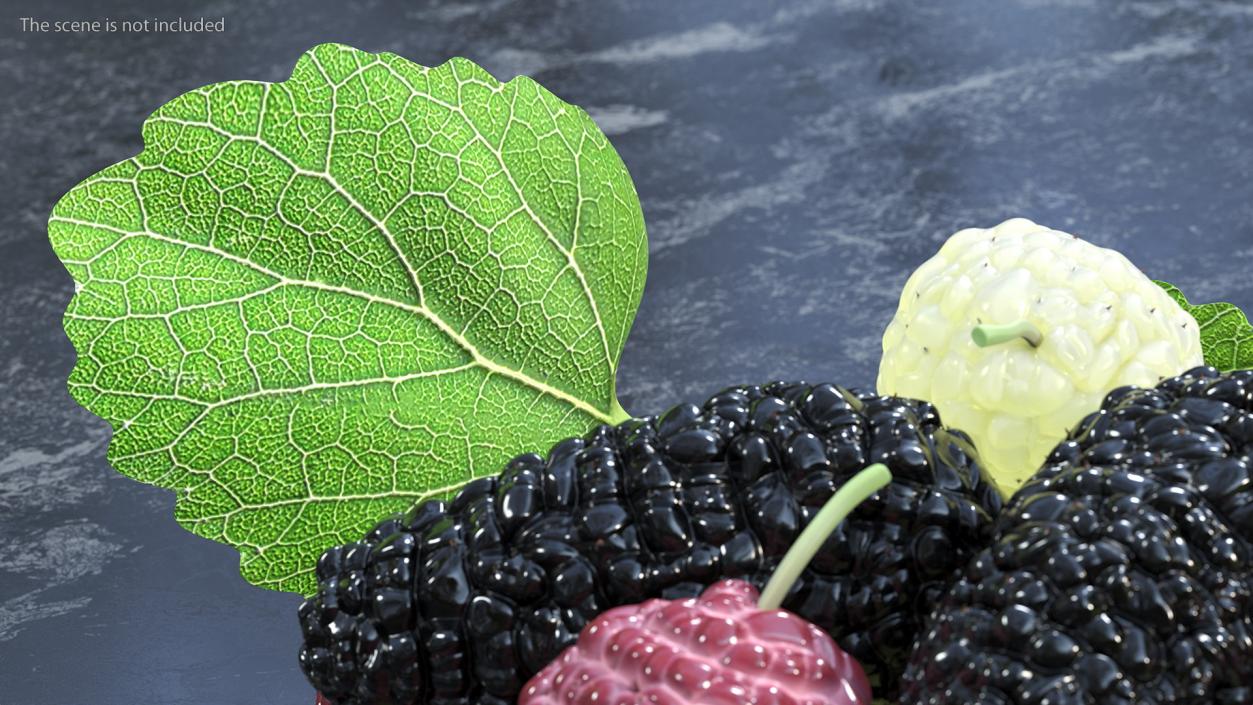 Pile of Mulberry Fruit 3D