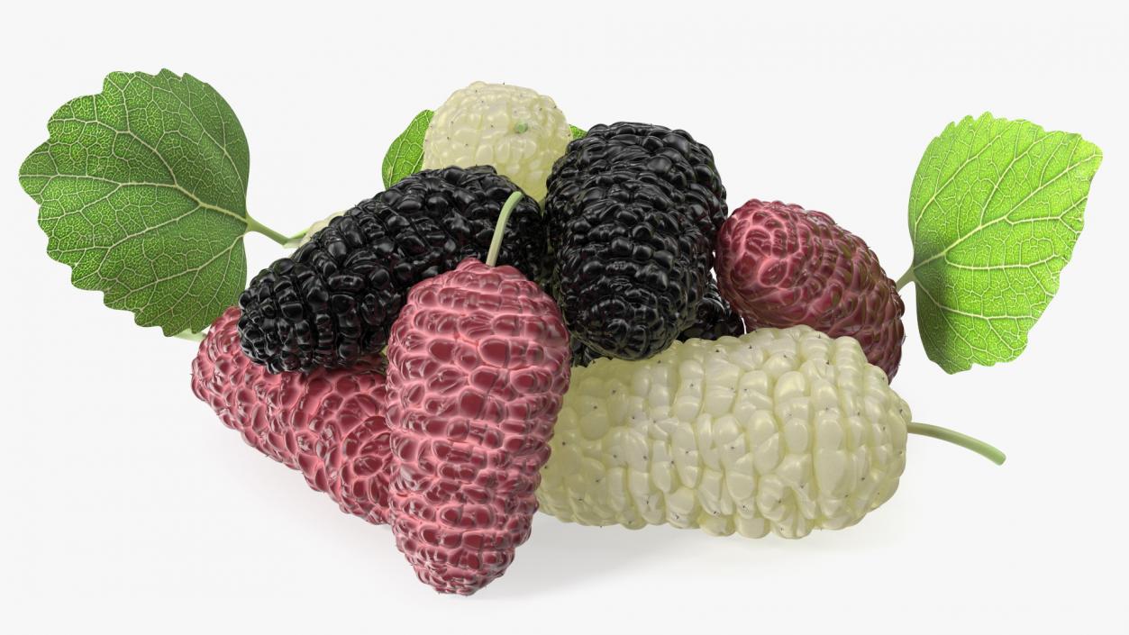 Pile of Mulberry Fruit 3D